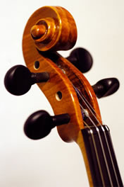 tuning pegs