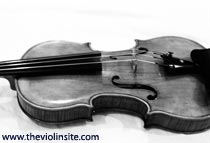 violin