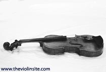 violin