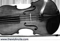 violin