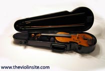 violin in case